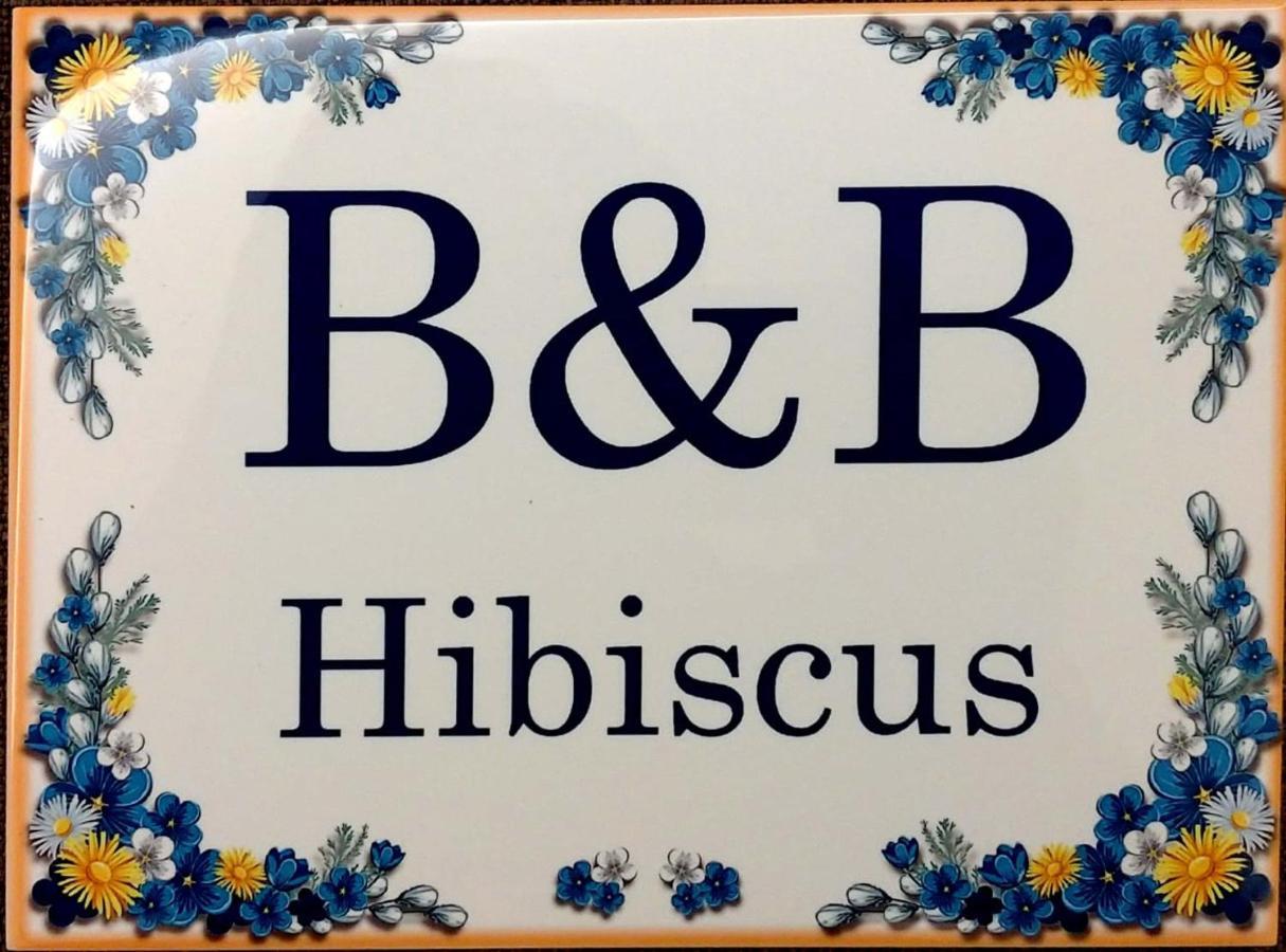 B&B Hibiscus Porto SantʼElpidio Exterior foto